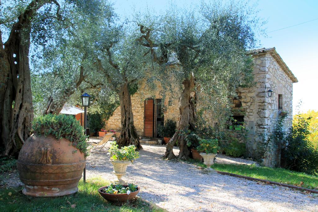 B&B Colle Perrini Country House Casperia Luaran gambar